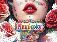 Xogo Numicolor