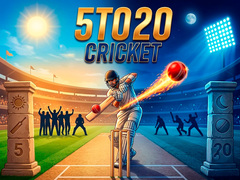 Xogo 5TO20 Cricket
