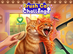 Xogo Brush Cat Challenge 