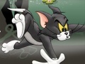 Xogo Tom And Jerry Chase In Marsh