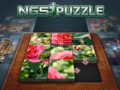 Xogo NGS Puzzle