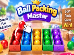 Xogo Packing Master Puzzle