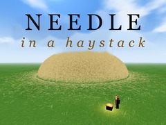 Xogo Needle in a Haystack