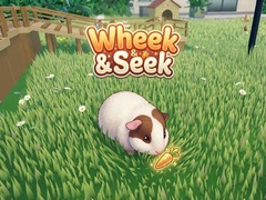 Xogo Wheek & Seek