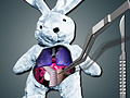 Xogo Save The Bunny