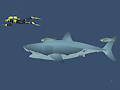 Xogo Mad Shark