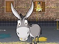 Xogo Donkey Gafoor