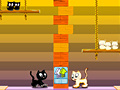 Xogo Swing Cat