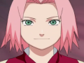 xogos de sakura 