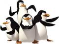 Pinguins de Madagascar xogos 