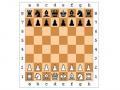 Partidas de xadrez 