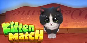 Partido de gatitos 
